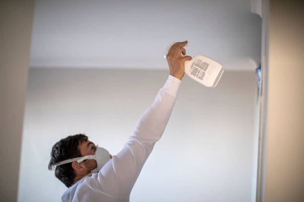 Best Insurance-Related Mold Remediation in Llington, MI