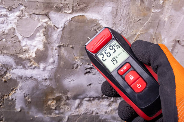 Best Residential Mold Remediation in Llington, MI